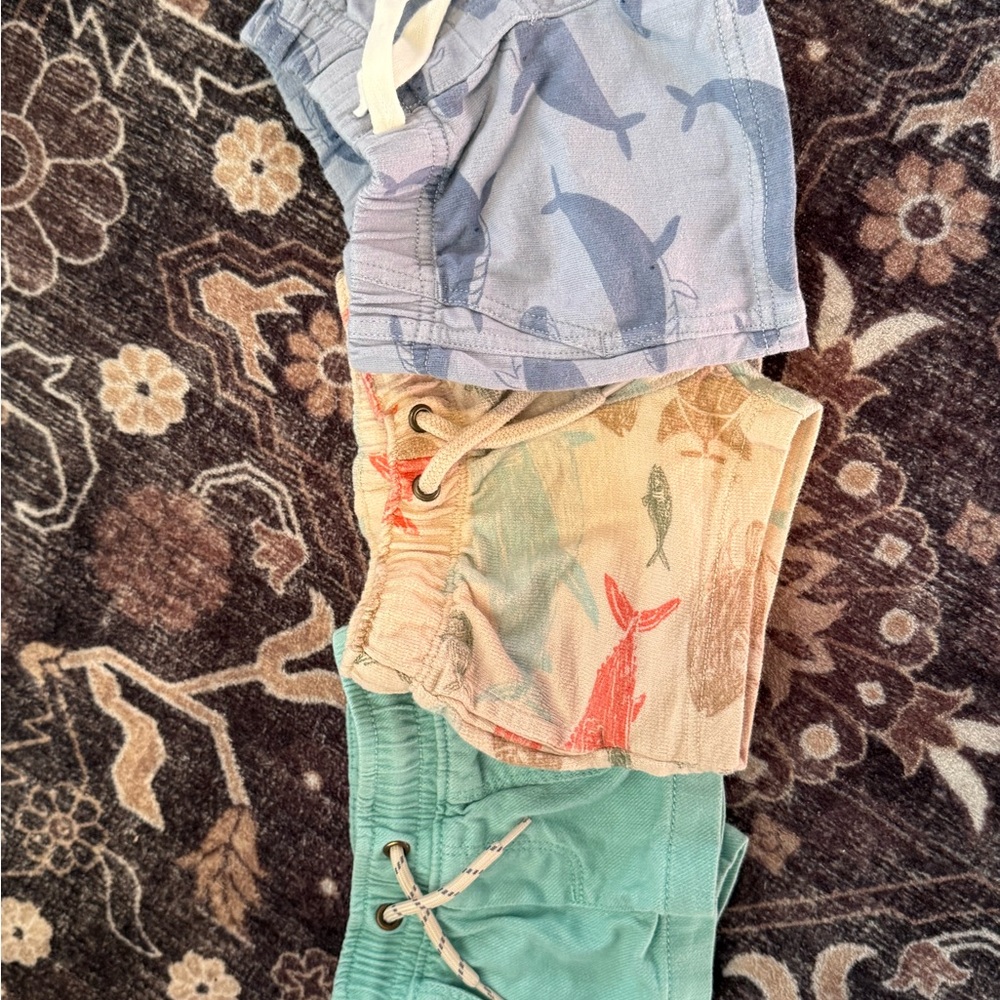 3-6 month baby boy short Set